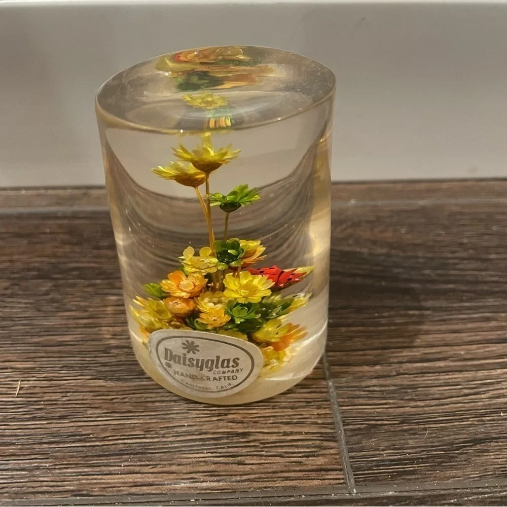 Vintage Daisyglas Company 50s/60s MCM Lucite/Acrylic Floral/Ladybug Paperweight